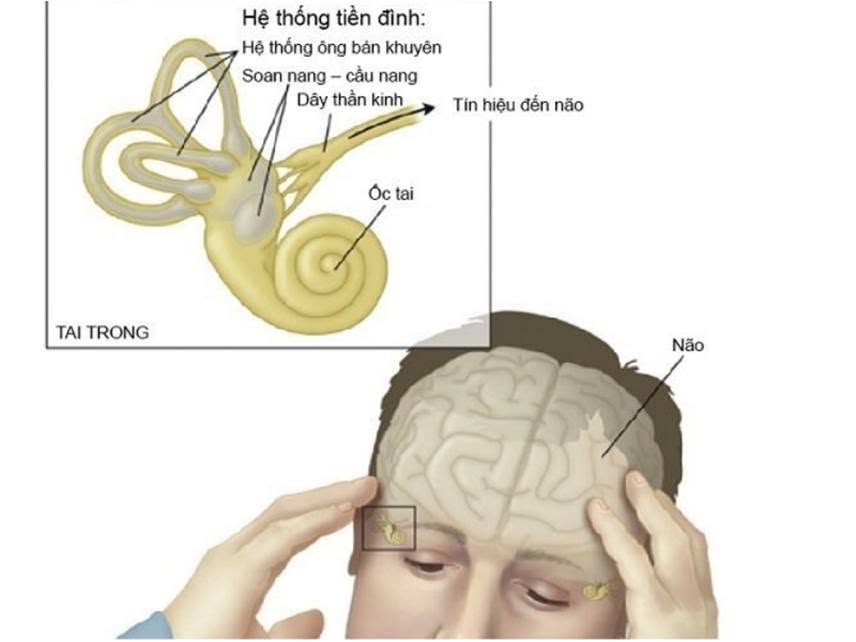 BlockNote image